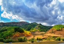 Do czego są nakładki na frezy?