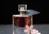 Jakich perfum używa Edyta Górniak? Jakich perfum używa Edyta Górniak?