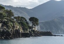 Ile kosztuje kurs na brwi? Ile kosztuje kurs na brwi?