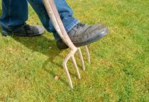 Jak Wietrzyć Pochwę?