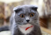 Jak pozbyć się obwisłej skóry na brzuchu po ciąży?